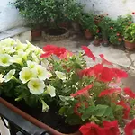 Casamuseo Del Risorgimento Bed & Breakfast Lungro