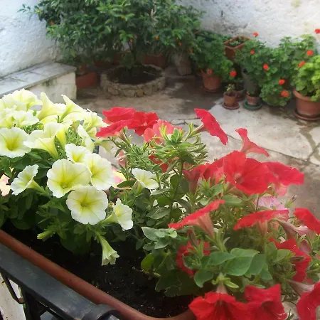 Casamuseo Del Risorgimento Couette-café Lungro