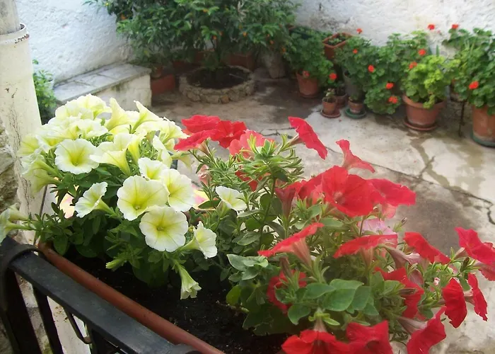 Casamuseo Del Risorgimento Bed and Breakfast Lungro